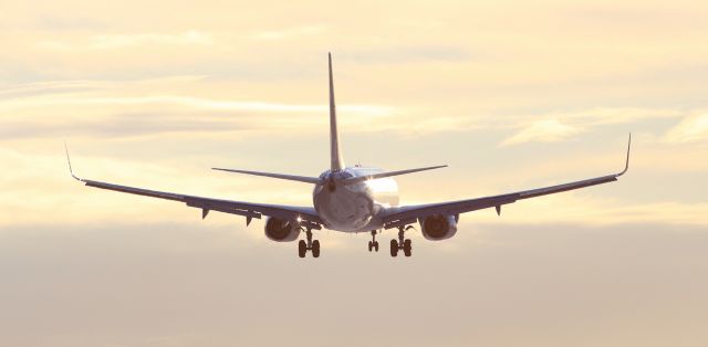 Boeing 737-800 (LN-RGI)