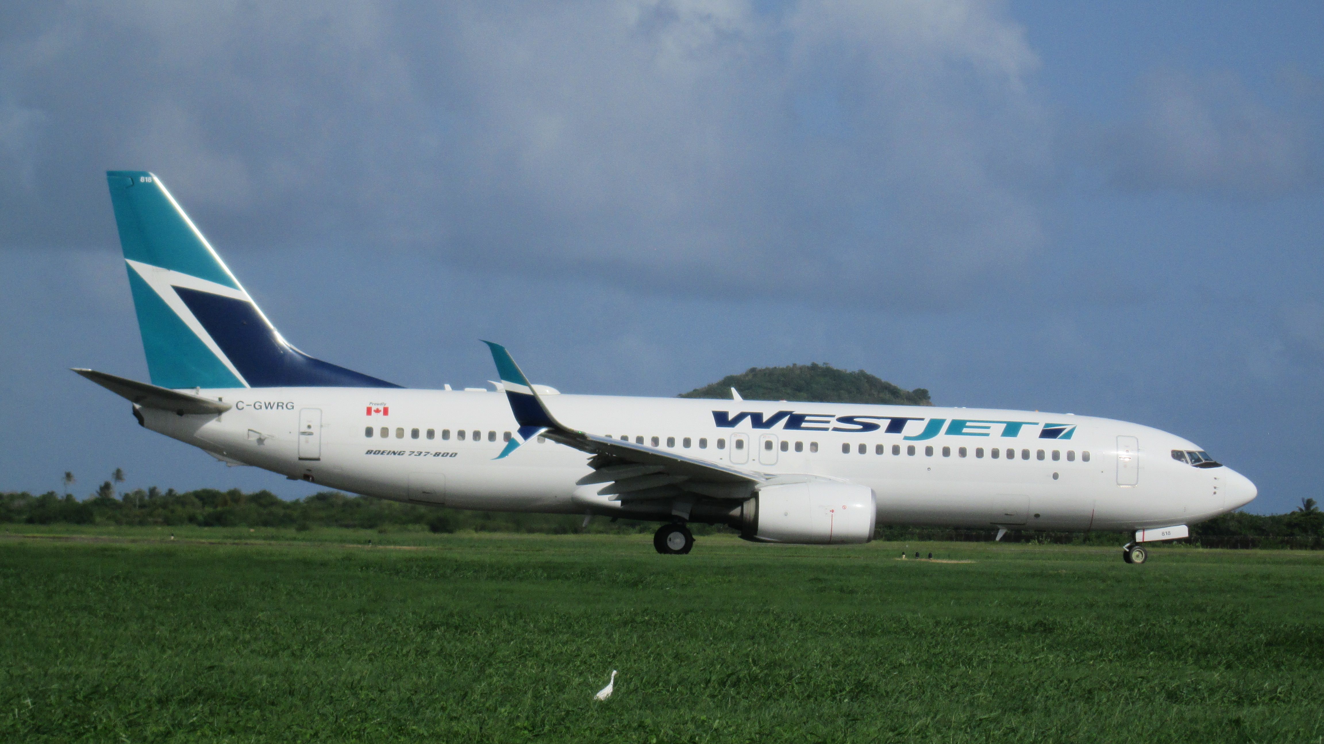 Boeing 737-800 (C-GWRG)