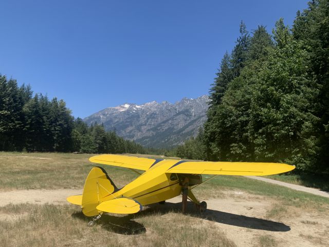 Piper PA-22 Tri-Pacer (N19FN)