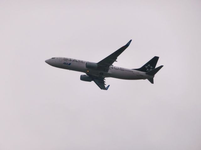 Boeing 737-800 (JA51AN)