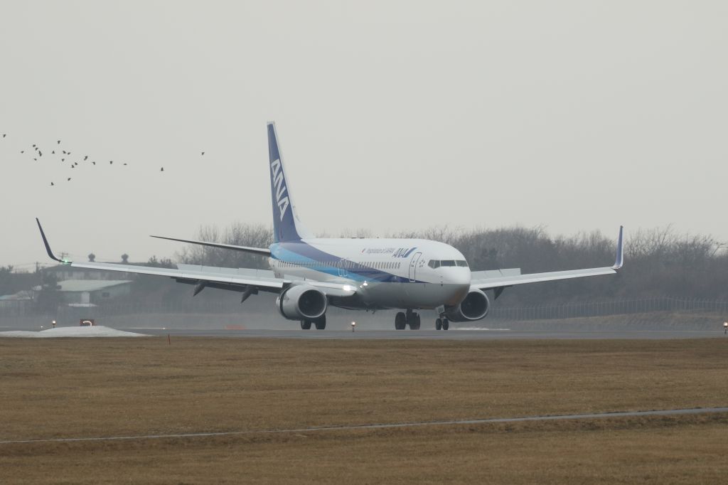 Boeing 737-800 (JA82AN) - 06 March 2016:HND-HKD.