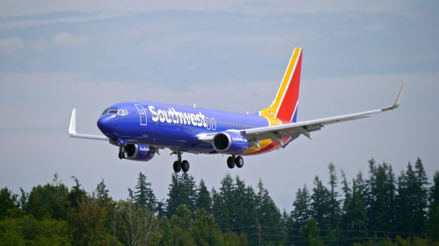 Boeing 737-800 (N8691A) - BOE929 on short final to Rwy 34L for a touch & go during a C2 flight from KBFI on 7/1/16. (ln 5974 / cn 36945).