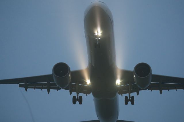 Airbus A321 (JA136A) - August 4th 2020:HND-HKD.