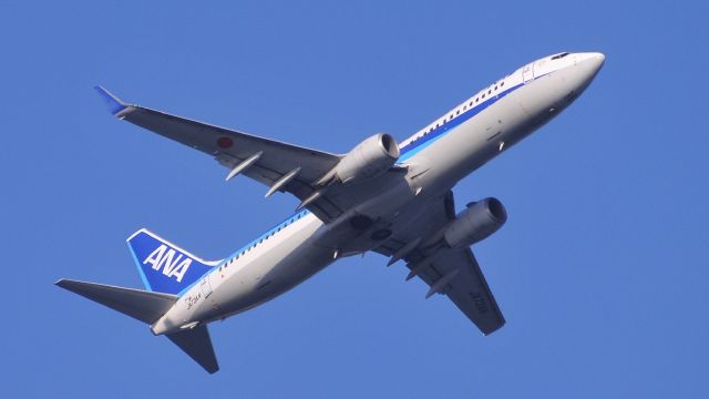 Boeing 737-800 (JA73AN)