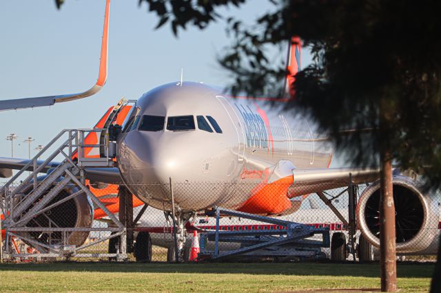 Airbus A321neo (VH-OFP)