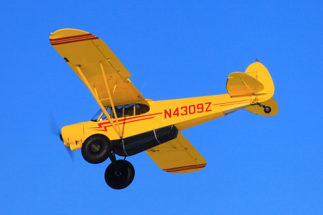 Piper L-21 Super Cub (N4309Z)
