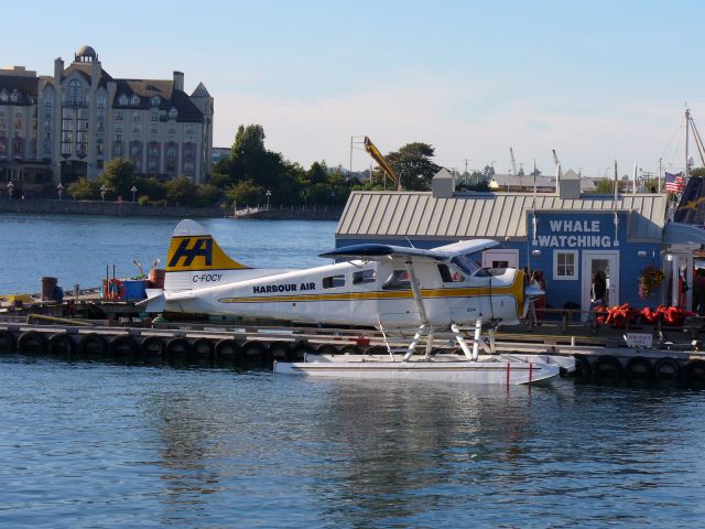 De Havilland Canada DHC-2 Mk1 Beaver (C-FOCY) - De Havilland Canada DHC-2 Beaver, Victoria BC