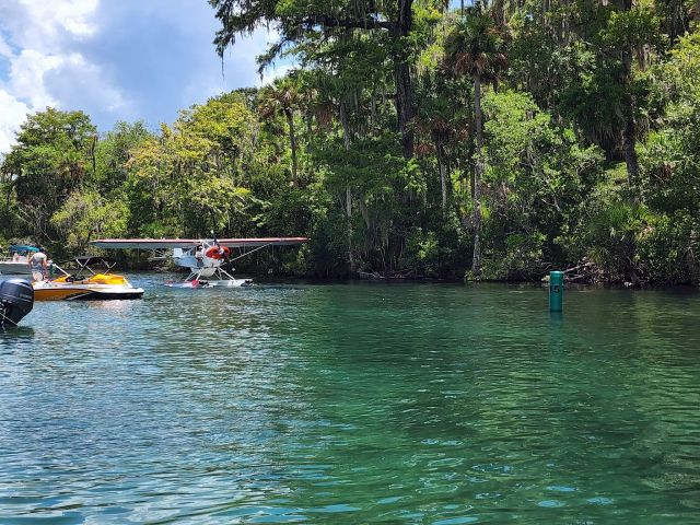 Piper L-21 Super Cub (N1907A) - Exploring Silver Glen Springs, from Lake George, Florida on a Friday afternoon. 