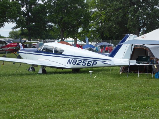 Piper PA-24 Comanche (N8256P)