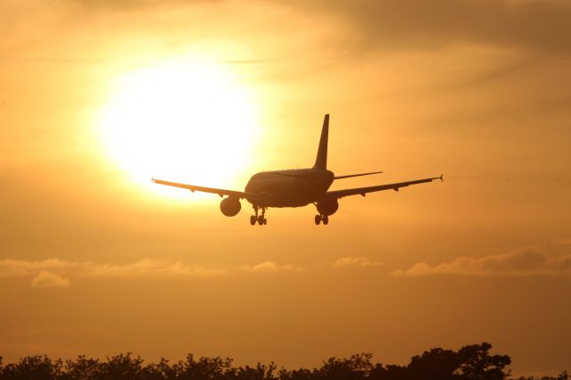 Airbus A320 (JA8609) - 29 June 2015:HND-HKD.