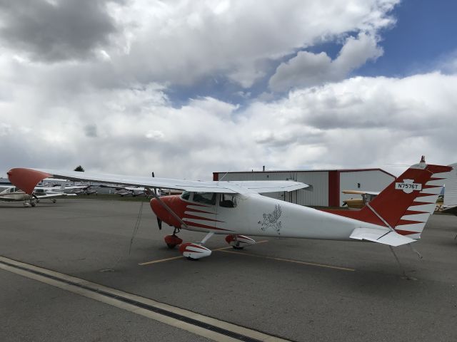 Cessna Skyhawk (N7576T) - Rad little mascot on this 172. It was clearly loved at one point.