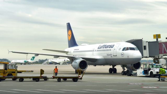 Airbus A319 (D-AILS) - Lufthansa Airbus A319-114 D-AILS in Porto 