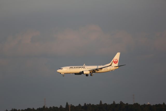 Boeing 737-800 (JA309J)