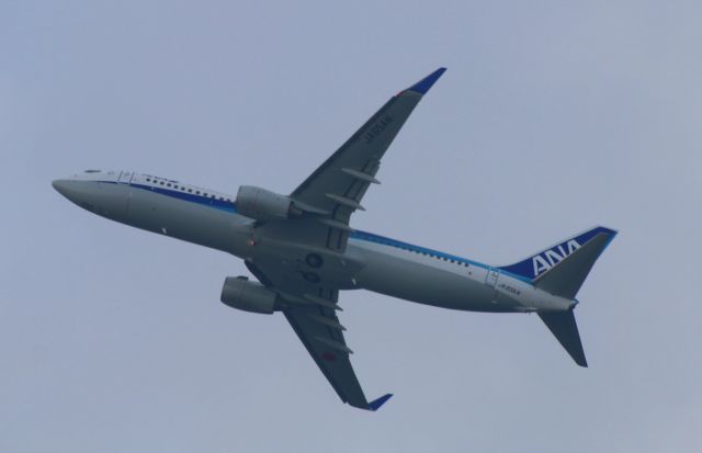 Boeing 737-800 (JA65AN)