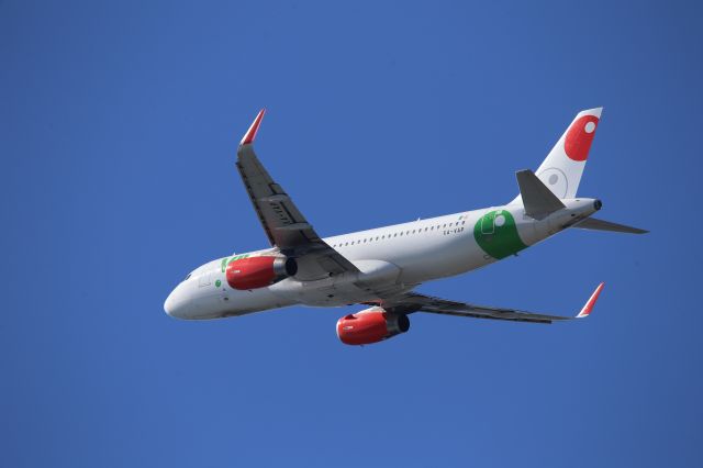Airbus A320 (XA-VAP)