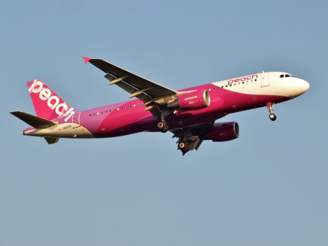 Airbus A320 (JA805P)