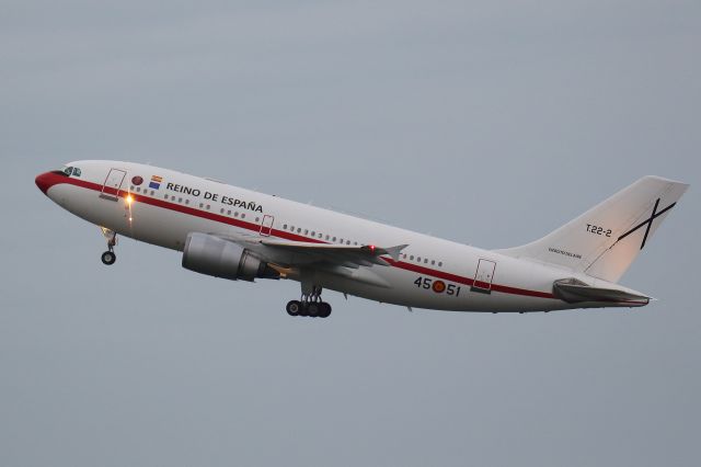 Airbus A310 (T222)
