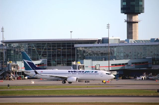 Boeing 737-800 (C-GWUX) - Those Scimitars wingtips though <3