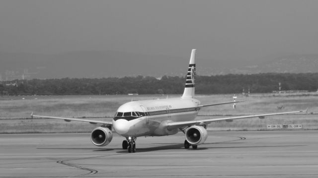 Airbus A320 (EI-DVM)