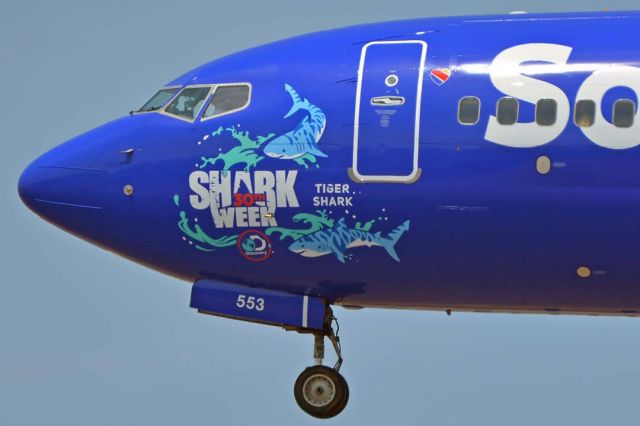 Boeing 737-700 (N553WN) - Southwest Boeing 737-7H4(W) N553WN Shark Week Tiger Shark at Phoenix Sky Harbor on August 20, 2018.