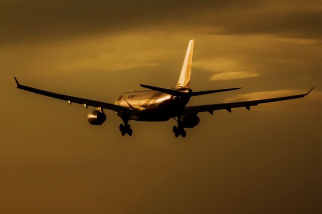 Airbus A330-200 (B-6075)