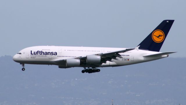 Airbus A380-800 (D-AIME)