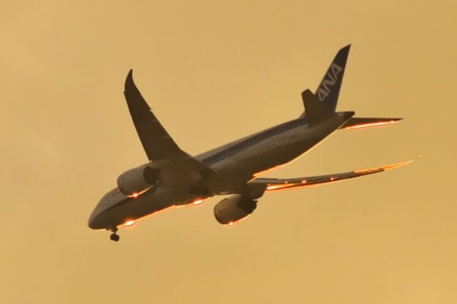 Boeing 787-8 (JA801A) - 1st B-787 on ANAs fleet, and 1st commercial delivery by Boeing. At sunset