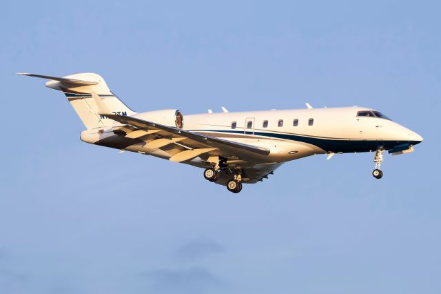 Bombardier Challenger 300 (N125TM) - BD-100-1A10 Challenger 300 br /Wells Fargo Bank Northwest NA Trustee