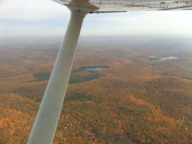 Cessna Skyhawk (N316AS)