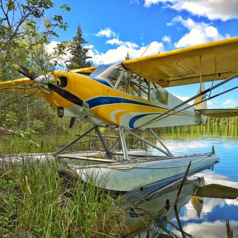 Piper L-21 Super Cub (N1129A) - 1951 Piper PA-18