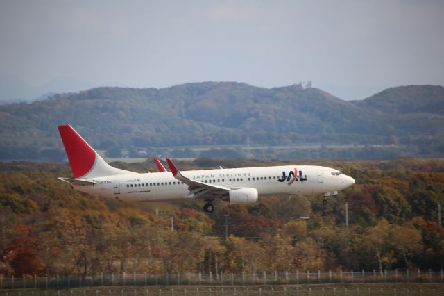 Boeing 737-800 (JA306J)