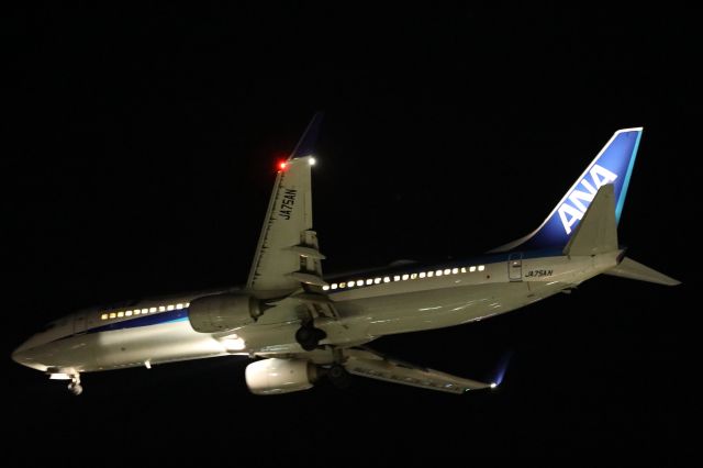 Boeing 737-800 (JA75AN) - December 3rd 2018:HND-HKD.