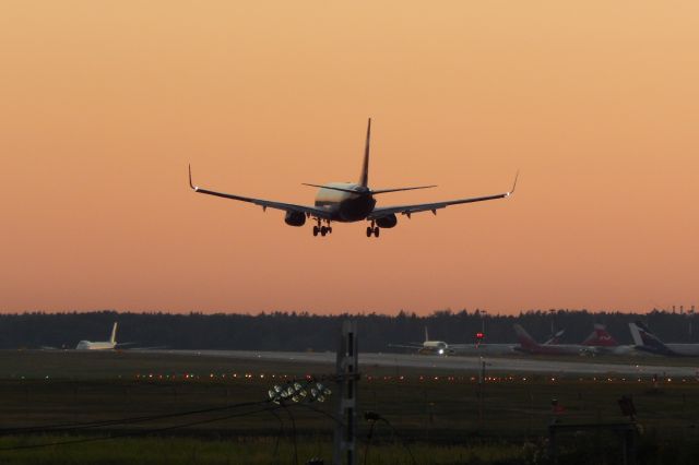 Boeing 737-800 —