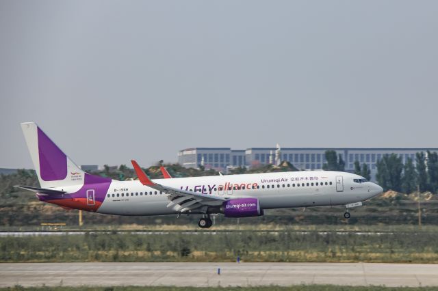 Boeing 737-700 (B-1568) - B737-8EH(B-1568) Landing