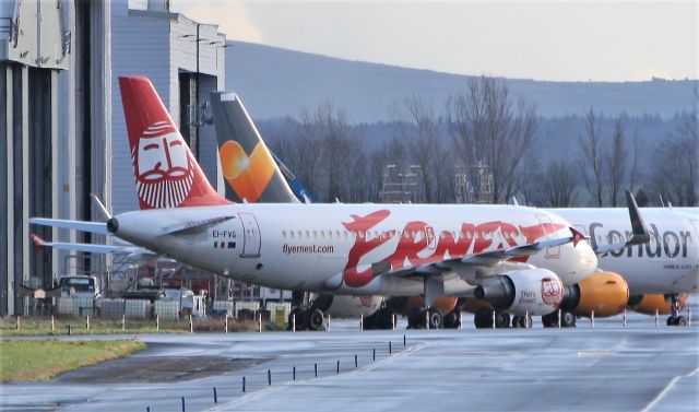 Airbus A319 (EI-FVG) - ernest a319-111 ei-fvg at shannon 12/1/20.