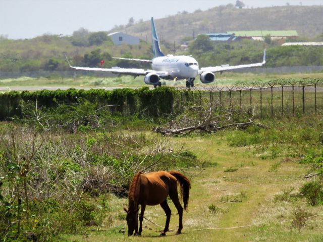 Boeing 737-700 (C-FIBW)