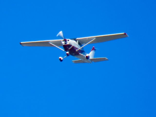 Cessna Skylane (N800P)