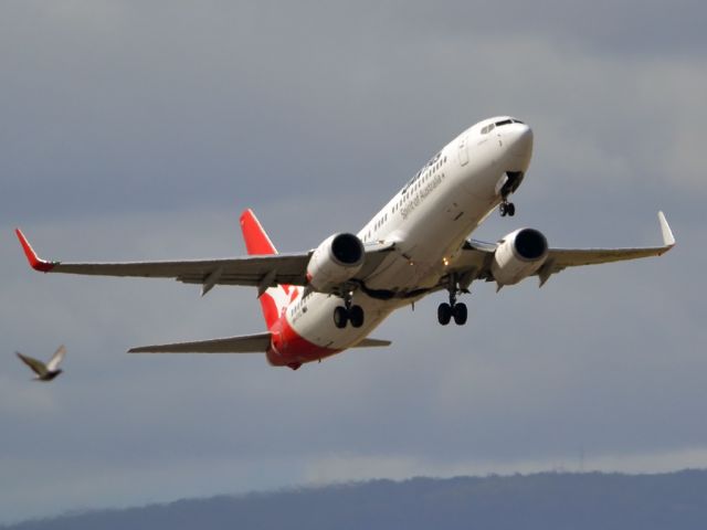 Boeing 737-800 (VH-VYC) - Big bird, little bird! Saturday 24th March, 2012.