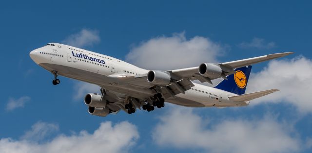 Airbus A380-800 (D-ABYM) - Luffy 748.  Not sure why the tail is registering 380-800.