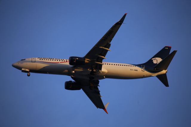 Boeing 737-800 (XA-AMB)