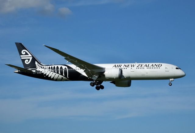 Boeing 787-9 Dreamliner (ZK-NZG) - Final approach to NRT Rwy16R (2017/07/11)