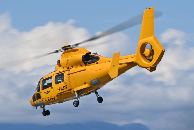 C-GTVV —