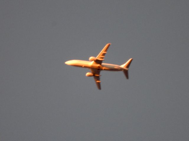BOEING 737-400 (N980ST) - ENRGY80br /RIC-br /11/20/2024