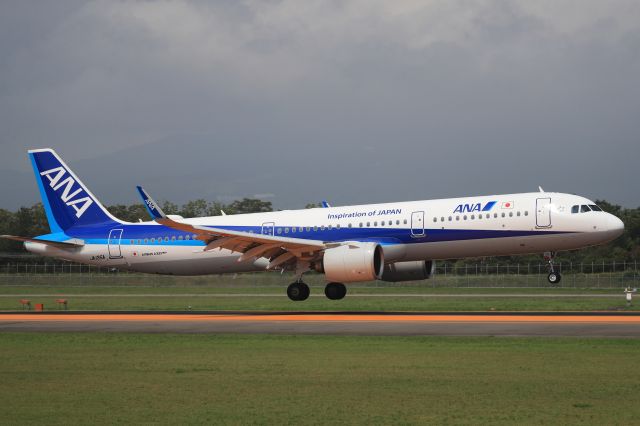 Airbus A321 (JA135A) - August 15th 2020:ITM-HKD.
