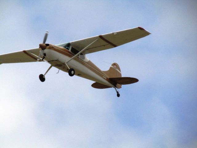 Cessna 170 (N4695C)