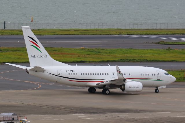 T7-PAL —