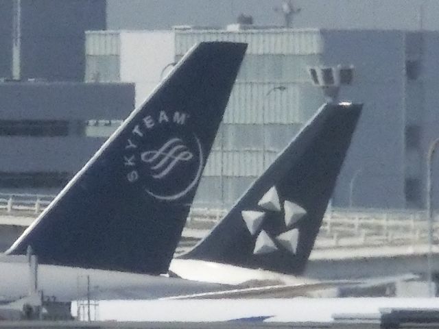 — — - スタアラとスカイチームのすれ違い。