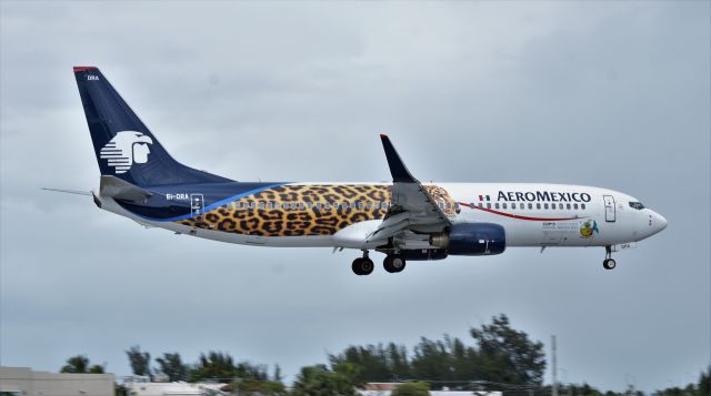 Boeing 737-800 (EI-DRA)