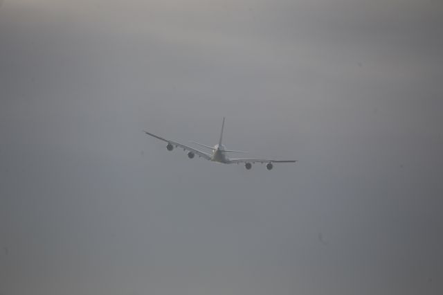 Airbus A380-800 (D-AIMG)