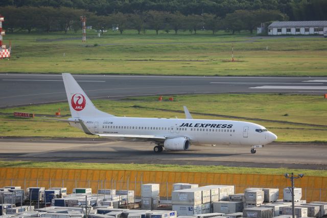 Boeing 737-800 (JA331J)